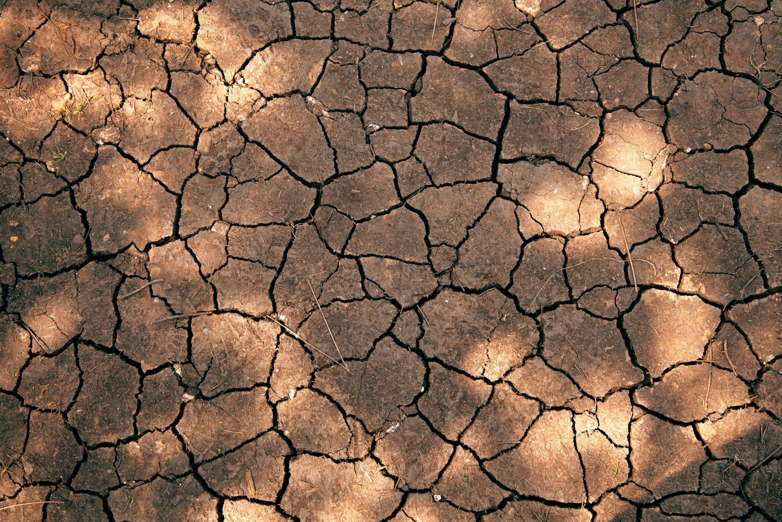 Comparison chart between weather risks and insurance policy details