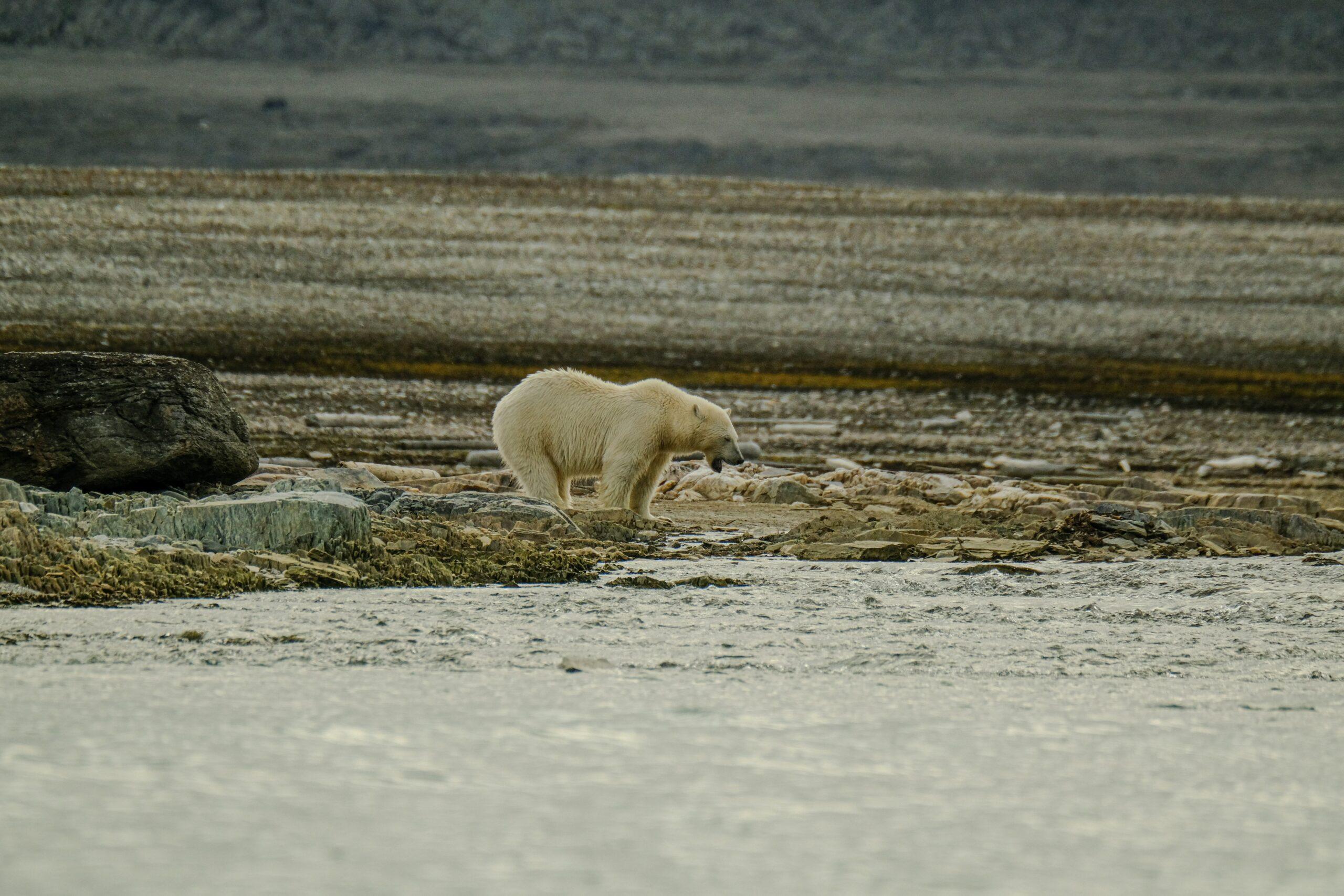 Why Climate Risk Assessments Are Crucial for Travel Delay Insurance