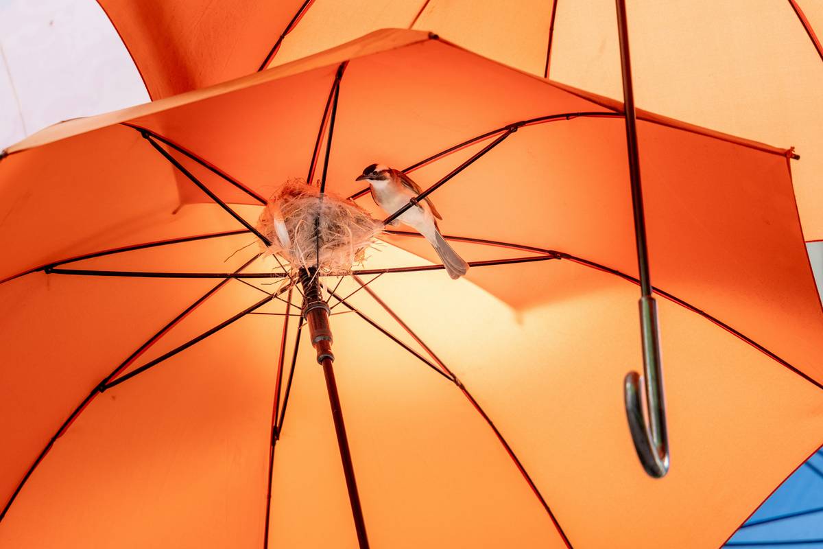 Why Weather Delay Coverage Is Your Travel's Unsung Hero