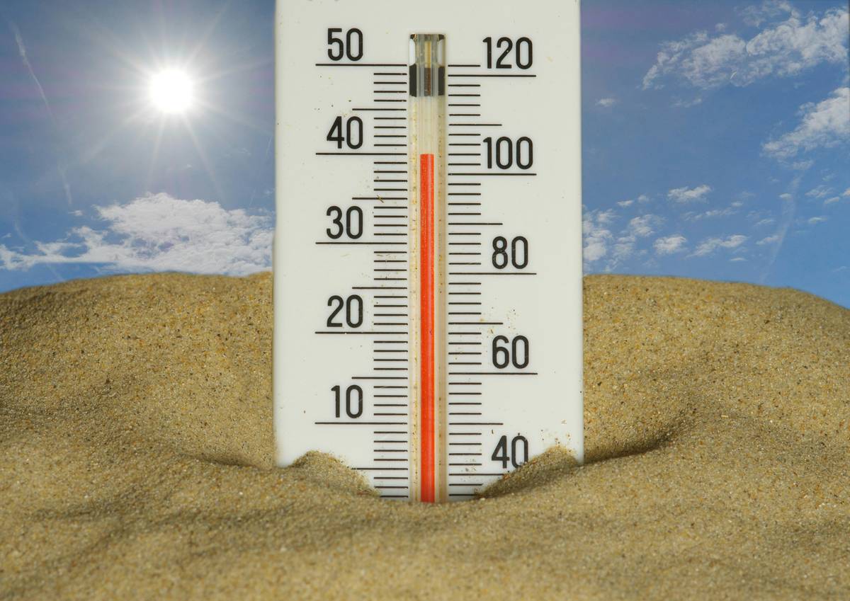 Heatwave Travel Insurance: Your Ultimate Guide to Staying Cool When Plans Go Up in Smoke