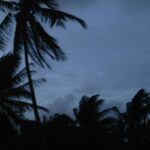 Windstorm Travel Insurance: How to Stay Calm When the Storm Hits