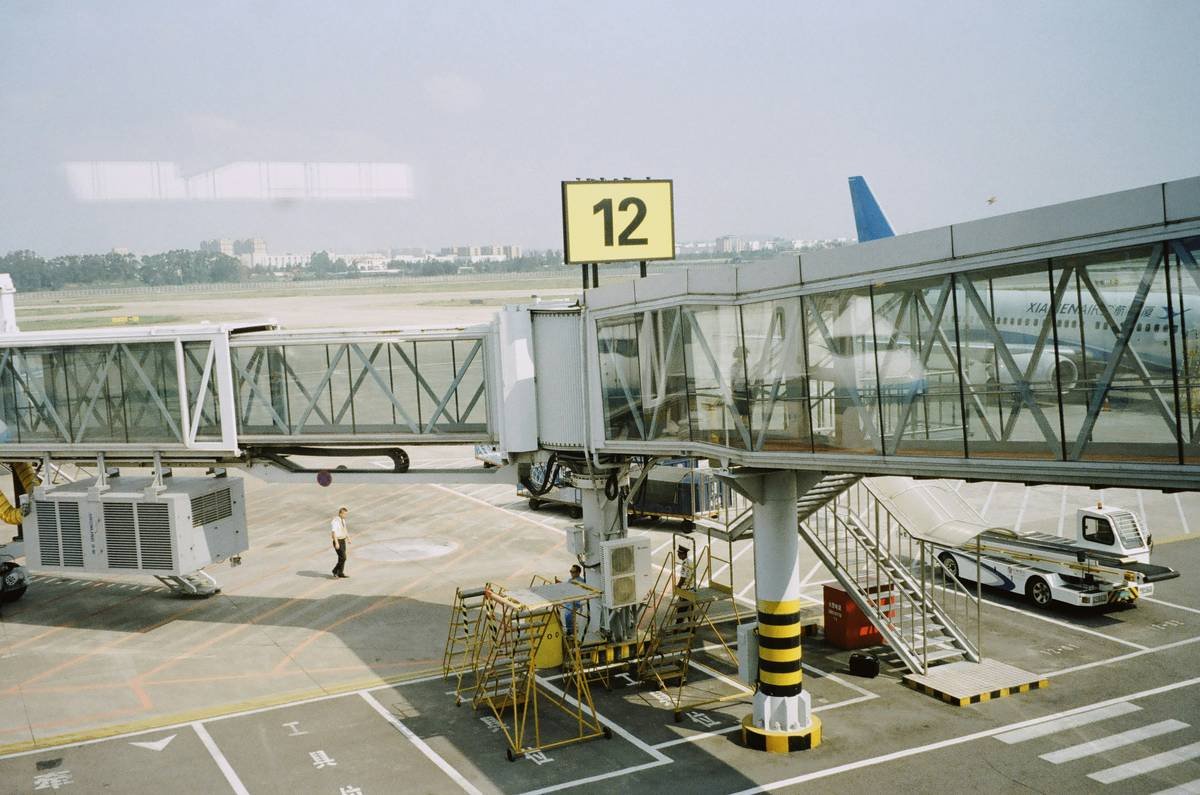 How an Airline Delay Insurance Policy Saved My Vacation (and Can Save Yours Too)